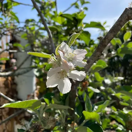 Apartmán No Ceu - A Fully Private Flat In The Sky With Ocean View *