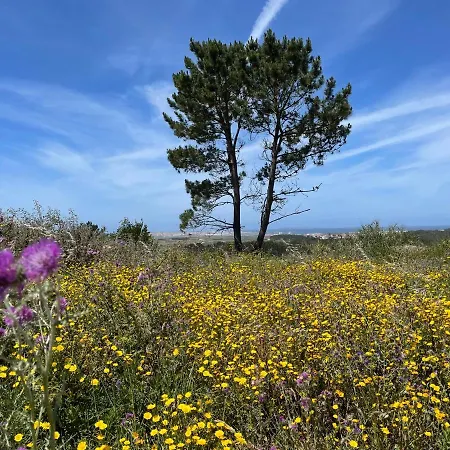 Apartmán No Ceu - A Fully Private Flat In The Sky With Ocean View *