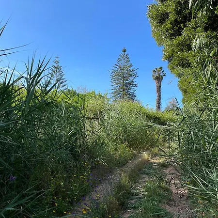 Apartmán No Ceu - A Fully Private Flat In The Sky With Ocean View Atouguia Da Baleia