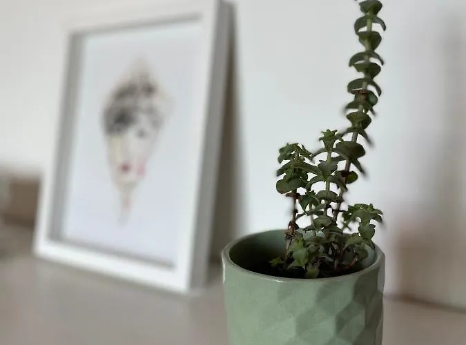 No Ceu - A Fully Private Flat In The Sky With Ocean View Atouguia Da Baleia