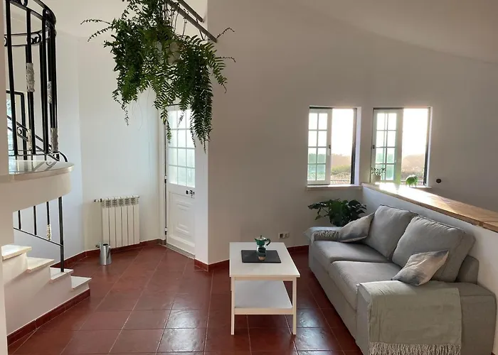 Apartment No Ceu - A Fully Private Flat In The Sky With Ocean View *