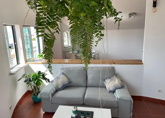 No Ceu - A Fully Private Flat In The Sky With Ocean View Apartment