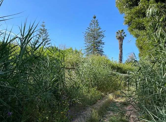 Apartment No Ceu - A Fully Private Flat In The Sky With Ocean View Atouguia Da Baleia