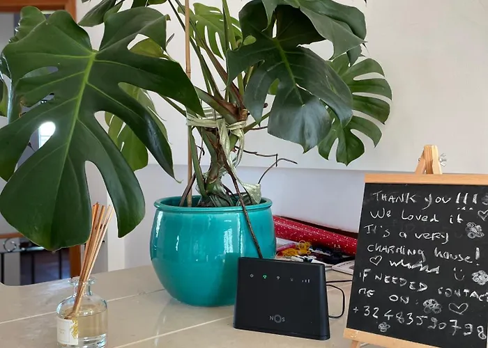 Apartment No Ceu - A Fully Private Flat In The Sky With Ocean View *